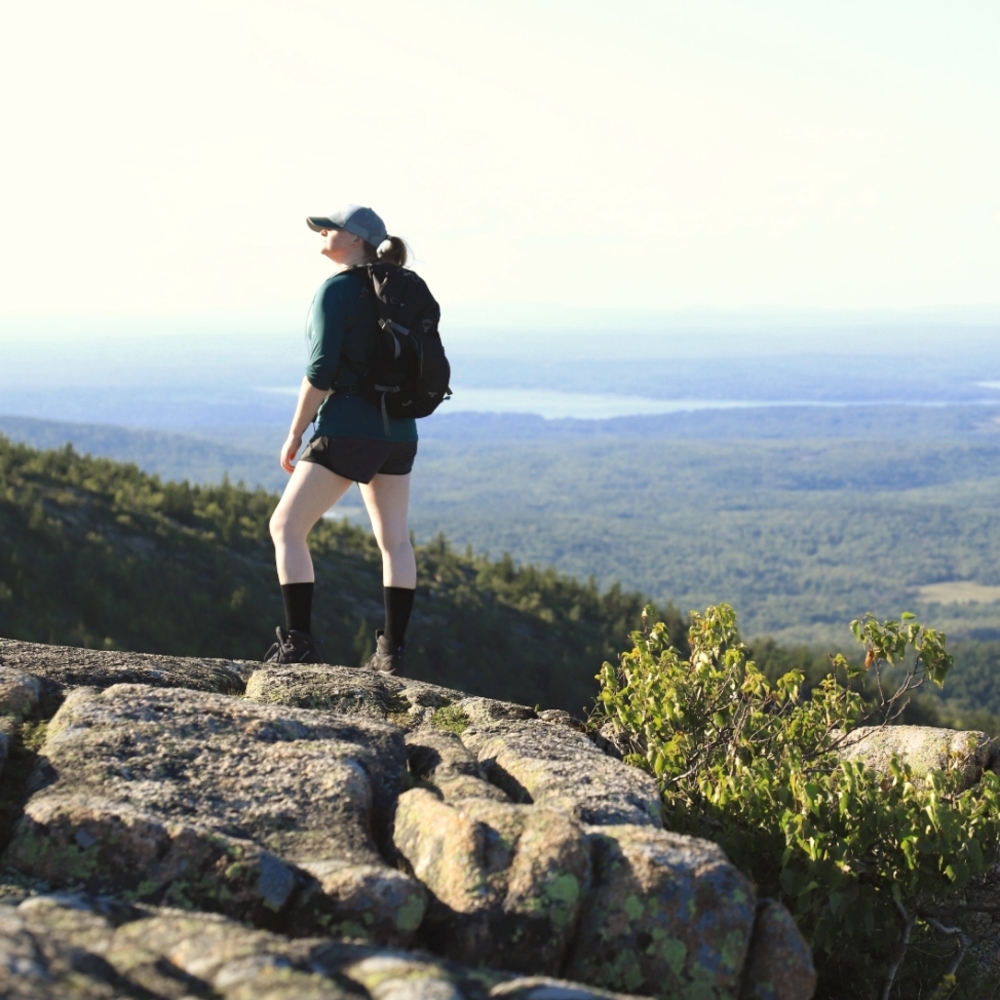 Meet your Posher, Dawn